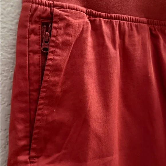 Abercrombie & Fitch Men’s All Day Sienna Red Pull-On Shorts Size Small - Picture 4 of 8